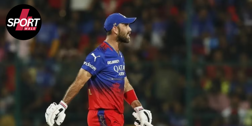 RCB vs CSK: With departure of Bill Jacques, RCB fans will focus on Glenn Maxwell